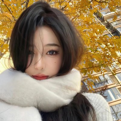 百战天龙第五季